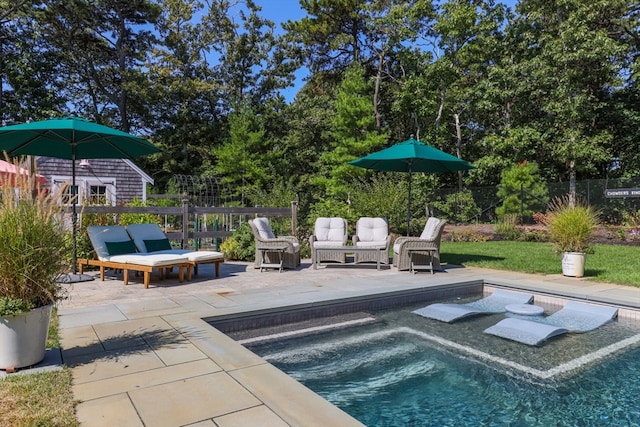 view of pool featuring a patio