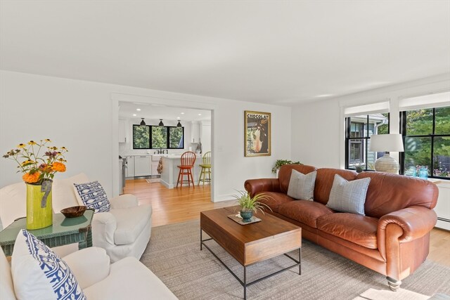 living room with light hardwood / wood-style flooring and sink