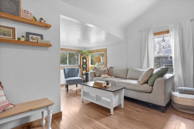 living room with vaulted ceiling and wood finished floors
