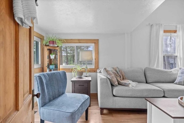 living area featuring wood finished floors and a textured ceiling