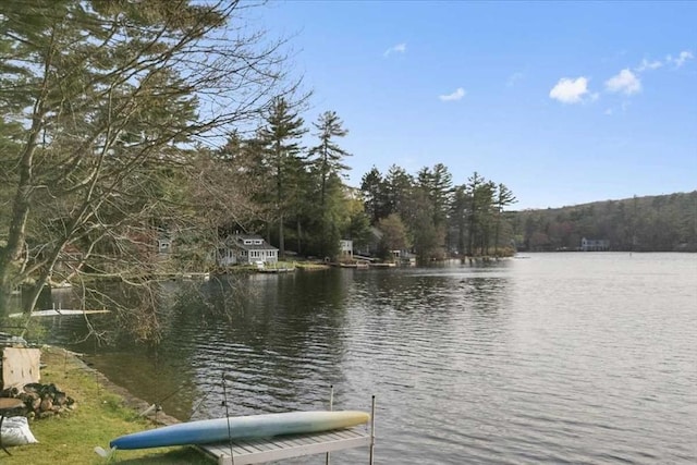water view with a dock and a heavily wooded area