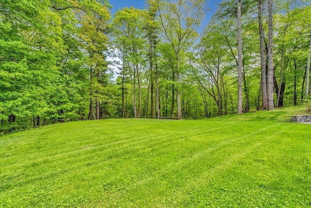 10 Whitney Rd, Stow, MA 01775 - view of green lawn with a wooded view