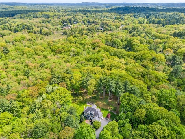 10 Whitney Rd, Stow, MA 01775 - bird's eye view of a forest