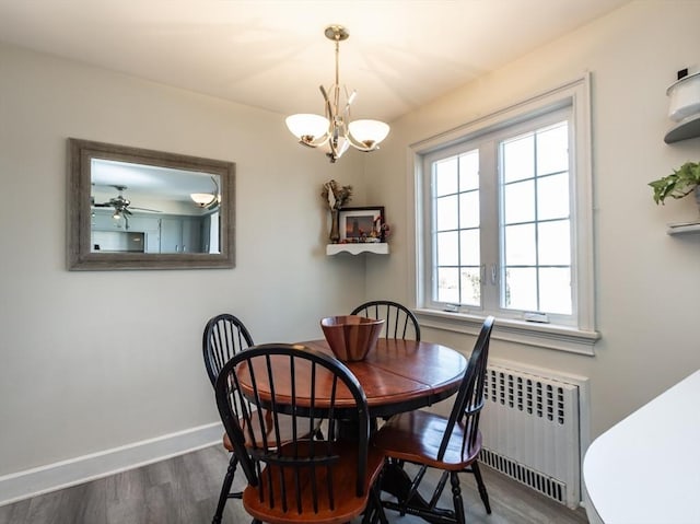 dining room with radiator and dark wood-type flooring