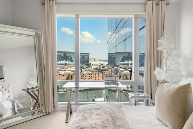 500 Atlantic Ave Unit 15M, Boston, MA 02110 - bedroom with a city view, carpet flooring, and multiple windows