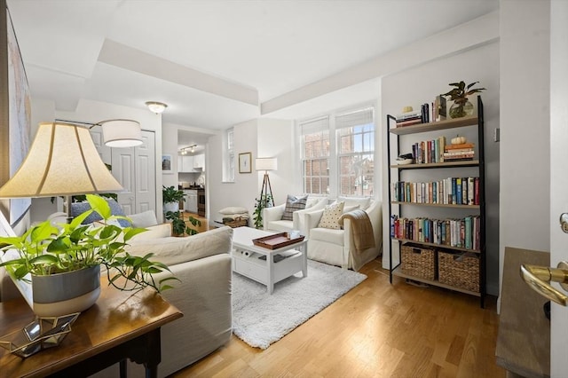 living room featuring wood-type flooring