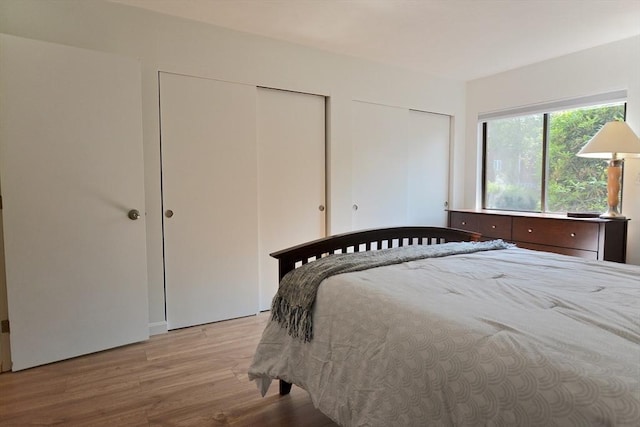 151 Bittersweet Ln Unit 208, Randolph, MA 02368 - bedroom featuring light wood finished floors and multiple closets