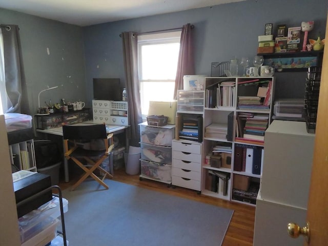 office area featuring wood finished floors