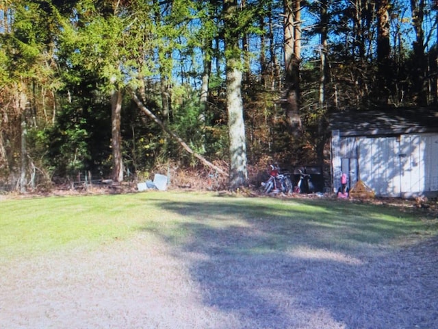 view of yard with a storage shed and an outdoor structure