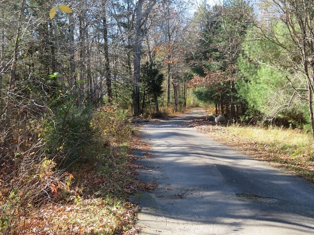 view of street with a wooded view