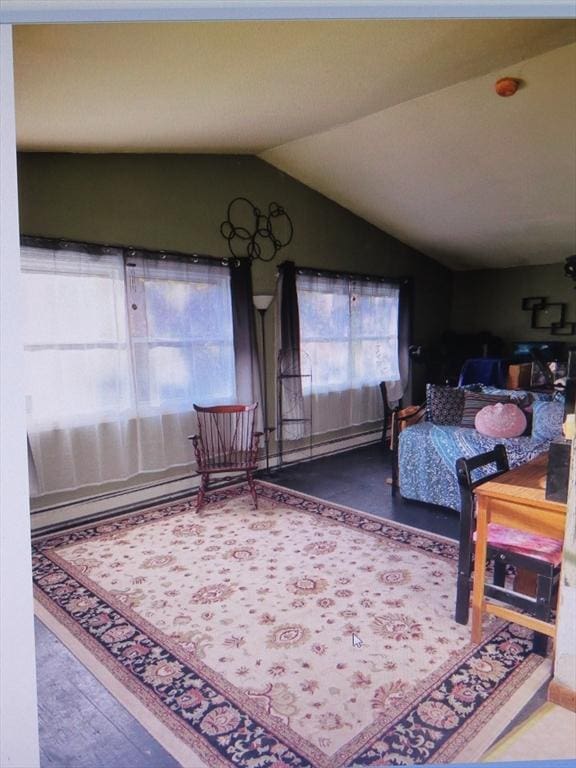 living room featuring vaulted ceiling and wood finished floors