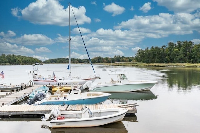 dock area featuring a water view