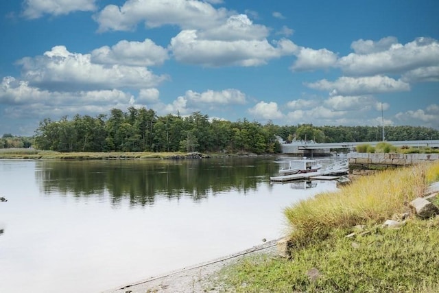 view of water feature with a view of trees and a boat dock
