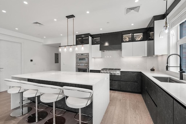 69 Walnut St Unit 4, Brookline, MA 02445 - kitchen with a sink, appliances with stainless steel finishes, light wood-style flooring, dark cabinetry, and recessed lighting