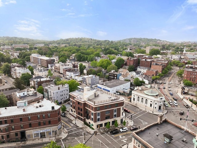 69 Walnut St Unit 4, Brookline, MA 02445 - view of urban area