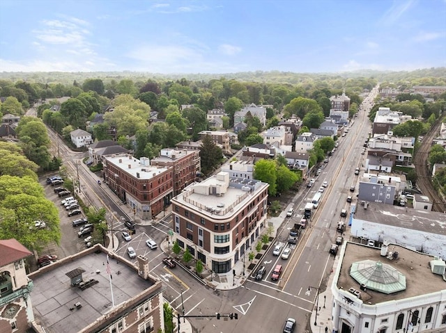 69 Walnut St Unit 4, Brookline, MA 02445 - bird's eye view