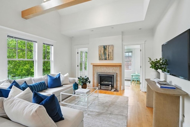 11 Longfellow Rd, Cambridge, MA 02138 - living area featuring light wood-type flooring, a fireplace with flush hearth, and a high ceiling