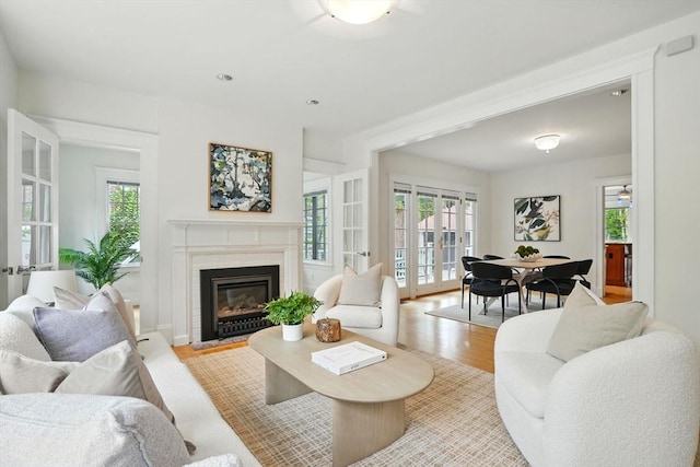 11 Longfellow Rd, Cambridge, MA 02138 - living area with french doors, light wood-style flooring, and a fireplace with flush hearth