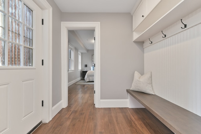 mudroom featuring dark wood-type flooring