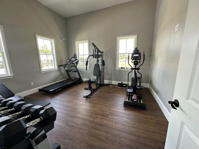 workout room with a high ceiling and dark hardwood / wood-style floors