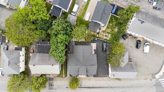 167 Charles St, Waltham, MA 02453 - aerial view of residential area
