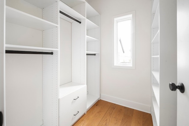 spacious closet with hardwood / wood-style floors