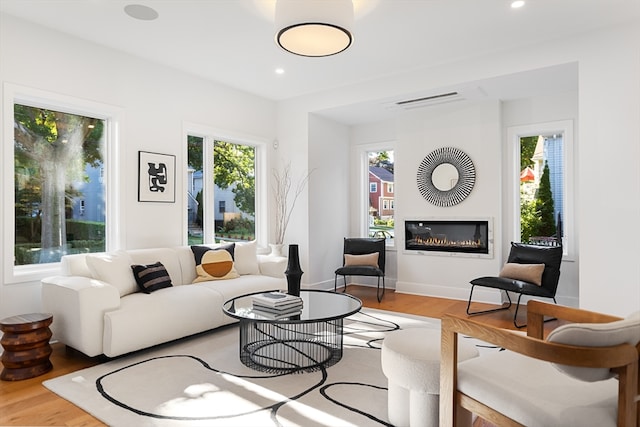 living room with plenty of natural light and hardwood / wood-style floors