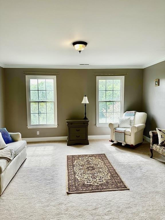 6 Everett Cir, Hopkinton, MA 01748 - carpeted living area with crown molding, baseboards, and visible vents