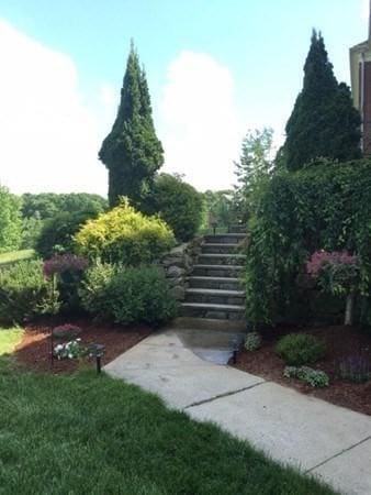 6 Everett Cir, Hopkinton, MA 01748 - view of yard with stairs