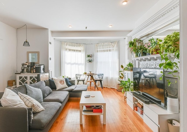 492 Massachusetts Ave Unit 53, Boston, MA 02118 - living room with light wood-style floors