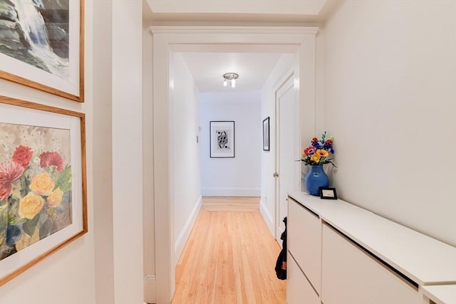 492 Massachusetts Ave Unit 53, Boston, MA 02118 - corridor with light wood-style flooring and baseboards