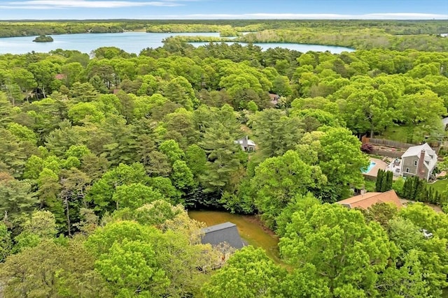 13 Pickerel Way, Sandwich, MA 02644 - drone / aerial view of a forest and a nearby body of water