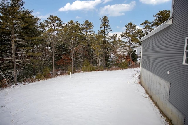 view of snowy yard