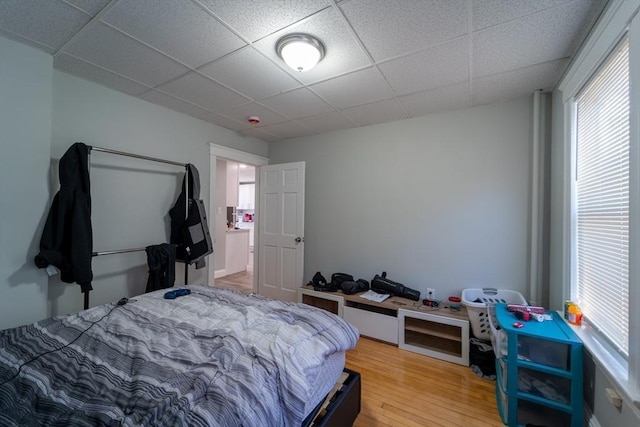 bedroom with a drop ceiling and light hardwood / wood-style floors