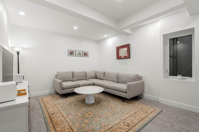 living room featuring hardwood / wood-style flooring