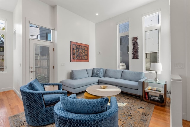 living room featuring hardwood / wood-style floors