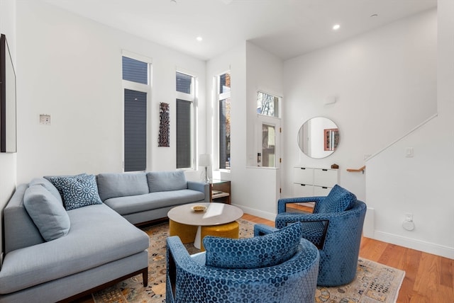 living room with wood-type flooring