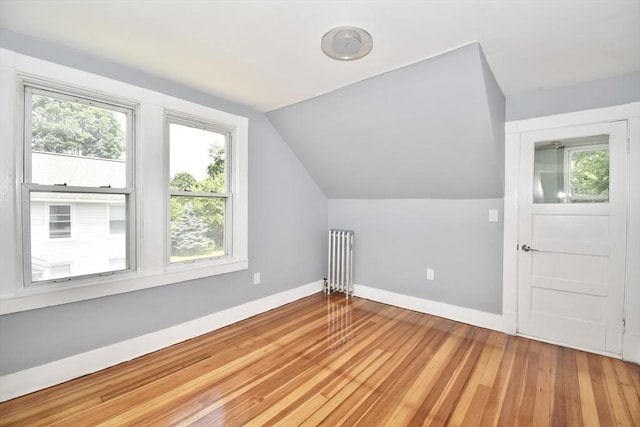 176 N Blvd, West Springfield, MA 01089 - additional living space featuring radiator heating unit, plenty of natural light, light wood-type flooring, and vaulted ceiling