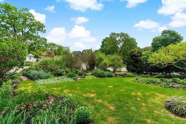 view of grassy yard featuring view of wooded area