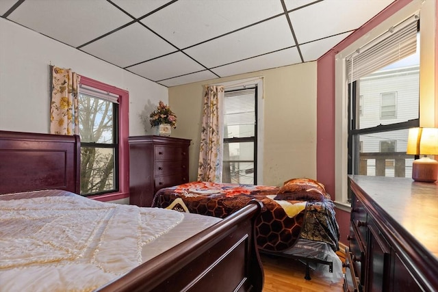 bedroom with a paneled ceiling, multiple windows, and wood finished floors