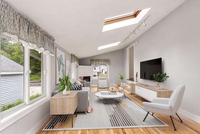 46 Blackmer, Sudbury, MA 01776 - living room featuring a skylight, baseboards, wood finished floors, a fireplace, and lofted ceiling