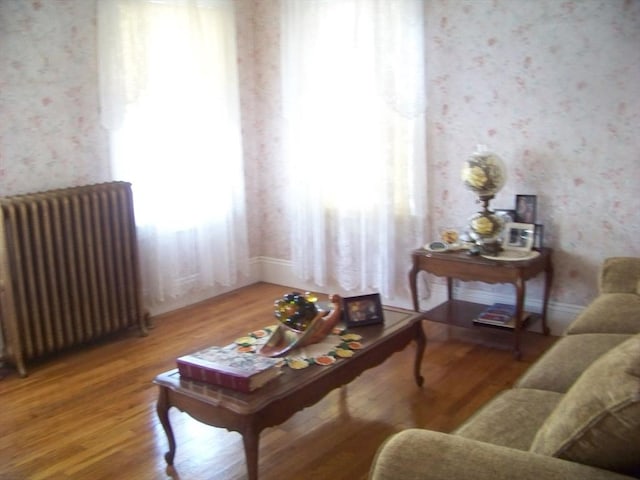 living room with hardwood / wood-style flooring and radiator heating unit