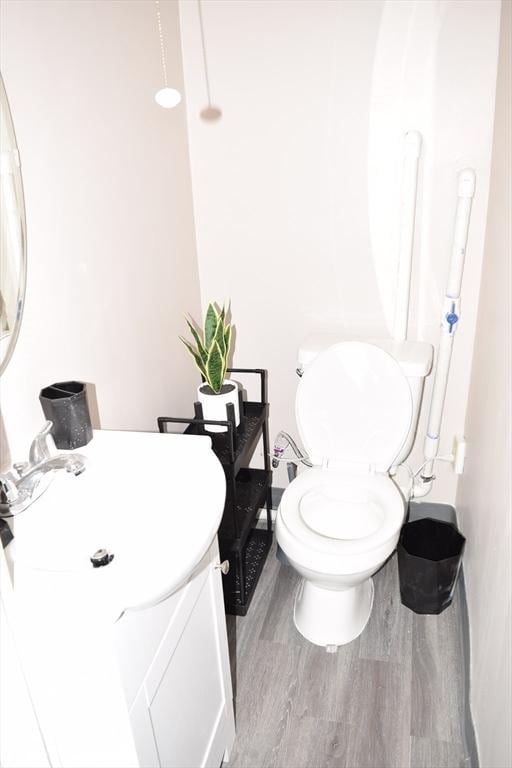 bathroom featuring vanity, toilet, and wood-type flooring