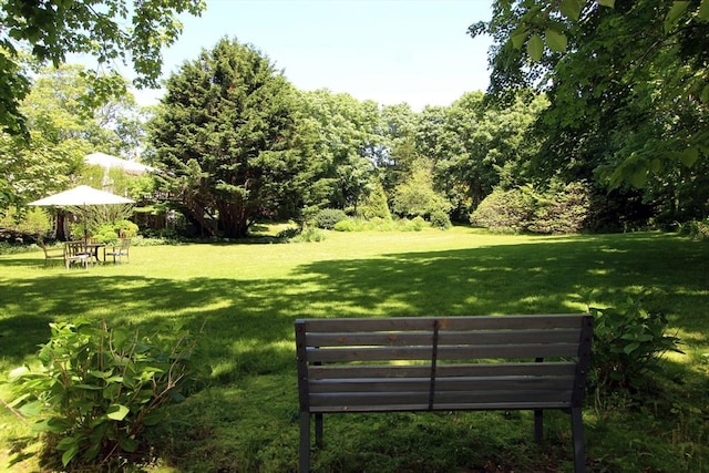 view of property's community with a lawn