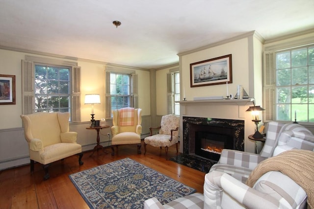 living area featuring wood-type flooring, a baseboard radiator, crown molding, and a premium fireplace