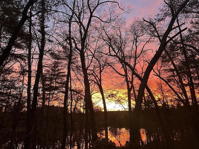 view of nature at dusk