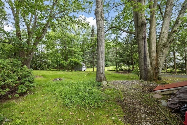 486 Franklin St, Reading, MA 01867 - view of green lawn