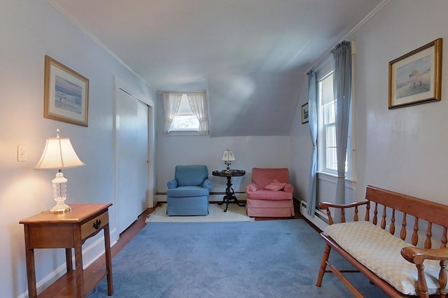 sitting room featuring lofted ceiling, a baseboard heating unit, baseboard heating, and carpet