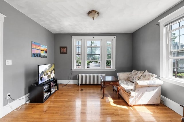 71 Ocean Ave Unit 3, Salem, MA 01970 - sitting room featuring radiator, healthy amount of natural light, and light wood finished floors