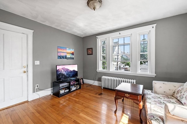 71 Ocean Ave Unit 3, Salem, MA 01970 - living area featuring radiator and hardwood / wood-style floors